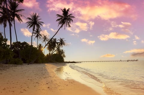 Tropical beach with palm trees in Bali